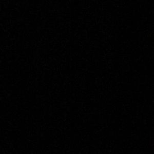 Meet your Posher, Reyna